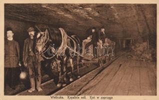 Wieliczka, Kopalnia soli / salt mine interior