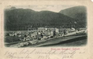1899 Hanusovice, Hannsdorf; railway station
