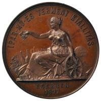 1877KB. "Ipar-Mű- És Termény Kiállítás Egerben 1877 / Kitüntető Érem" Br emlékérem (45mm) ...