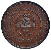 ~1900. "Alsó-Fehérmegyei Gazdasági Egylet / A Földmívelés Terén Szerzett Érdemekért" Br érem (65g/50mm) T:1-