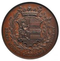 ~1900. "Békés Megyei Gazdasági Egyesület" Br érem (46.6g/45mm) T:1-
