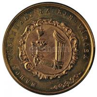 1864. MAROS VÁSÁRHELY SZ: KIR: VÁROSA / A MAGYAR ORVOSOK ÉS TERMÉSZET VIZSGÁLÓK X. GYŰLÉSÉNEK 1864" aranyozott Br emlékérem (42mm) T:2