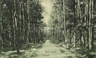 Tarcsa, Tatzmannsdorf; park