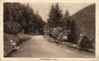 Fenyőháza Ilka út / street (fl)