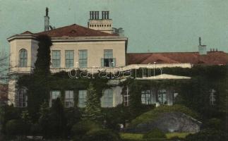 Nagyszentmiklós, Nákó castle