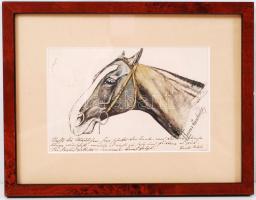 Színezett lómetszet olvashatatlan aláírással, keretben, metszet: 13x8 cm, keret: 20x16 cm.