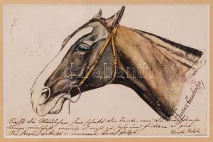 Színezett lómetszet olvashatatlan aláírással, keretben, metszet: 13x8 cm, keret: 20x16 cm