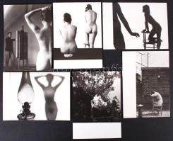 Zdenka Virta: Akt fotómappa 15 db képpel /  Nude photo set of 15 pieces 13x18 cm