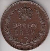 Szeged 1876. "Az 1876. évi Országos Ipar- Termény- és Állat - Kiállítás Szegeden / Érdem Érem" Br emlékérem (50mm) jelzés: M.V. T:2