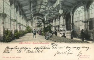 Karlovy Vary Sprudel colonnade (fl)