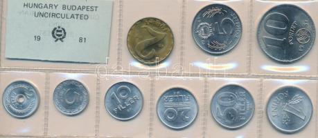 1981. 2f-10Ft 9db klf érmés forgalmi sor fóliatokban T:1