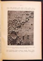 Flammarion, Camille: A világ vége. Ford. Kenedi Géza. Hetedik kiadás. Bp., é.n., Légrády Testvérek. ...