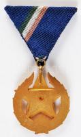 1951- "Közbiztonsági Érem" arany fokozata a rendőrség tagjai részére mellszalaggal T:1