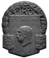 Osztrák-Magyar Monarchia 1915. "TIROL Honvédelem 1915" cink sapkajelvény (37x31mm), készítő: "ATELIER GURSCHNER WIEN" T:2 Austro-Hungarian Monarchy 1915. "TIROL LANDESVERTEIDIGUNG 1915" zinc cap badge (37x31mm) maker: "ATELIER GURSCHNER WIEN" C:XF
