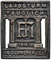 Osztrák-Magyar Monarchia 1916. "LANDSTURM TAUGLICH IN SCHWERER ZEIT 1914/16" vas sapkajelvény (28x24mm) T:2 Austro-Hungarian Monarchy 1916. "LANDSTURM TAUGLICH IN SCHWERER ZEIT 1914/16" iron cap badge (28x24mm) C:XF