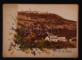 cca 1880-1890 Üdvözlet a németországi Kahlenberg-ből, keményhátú régi fénykép, préselt virágokkal, havasigyopárral díszített látkép, még a képeslapok megjelenése előtti időkből, 12x18 cm.