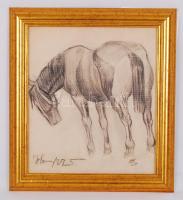 Olvashatatlan jelzéssel: Ló. Szén, papír, üvegezett keretben, 25×22 cm