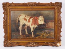 Jelzés nélkül: Boci az istállóban. Olaj, farost, keretben, 43x33 cm.