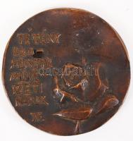 Janzer Frigyes (1939-): Tétény promontor művészeti napok. Bronz plakett, d:8,5 cm