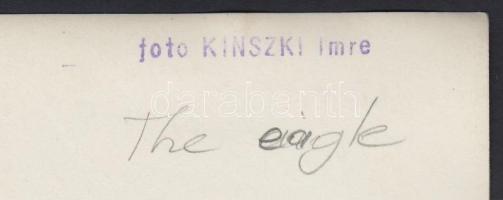 1930-1935 Kinszki Imre (1901-1945): "The Eagle" -- Sas. Vintage fotó, hátoldalán szerzői p...
