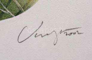 Varga Bencsik József (1944-): Pitypang. Színezett rézkarc 15/100, papír, jelzett, üvegezett keretben...