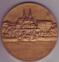 Svájc 1943. "Leichtathletik Länderkampf Schweiz-Ungarn" (svájci-magyar atlétikai viadal) H...