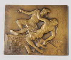 1923. "Budapesti-Budai Torna Egylet" szögletes Br plakett. Szign:Reményi T:2