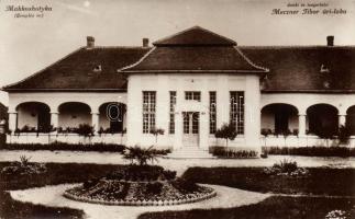 Makkoshotyka, Meczner Tibor úrilak