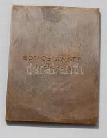 1934. "Jubilehe" szögletes Br plakett T:2