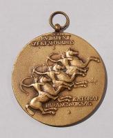 1939. "Bpest Főváros Katonai Parancsnokság" plakett szign.:V. T:2