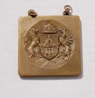 1912. "Budapest T.T" Szabadkőműves! Br plakett T:2 RR!!