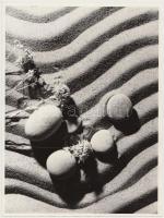 cca 1970-1980 Ismeretlen szerző: Csendélet, 24x18 cm.