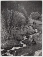 cca 1950-1960 Járai Rudolf: Patak partján, vintage fotóművészeti alkotás, aláírva, halvány pecséttel, 23x18 cm.