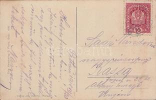 Ptuj, Pettau an Drau; grapes