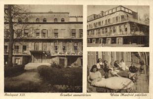 Budakeszi Erzsébet szanatórium, Weiss Manfréd pavilon