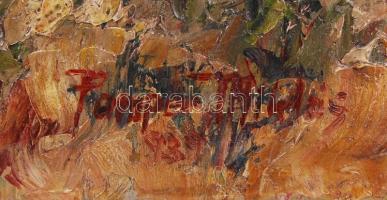 Olvashatatlan jelzéssel: Tájkép. Olaj, vászon, 50×60 cm