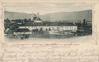 Csíksomlyó tanítóképző, főgimnázium, gyakorló iskola / teacher training school (fa)