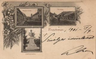 Nagybánya Magyar utca, Vár utca, Lendvay szobor / streets, statue, floral