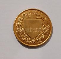 1920-as évek "Országos Testnevelési Tanács" aranyozott, nagy Br olakett. Szign:Berán Lajos...