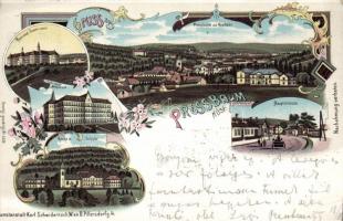 1899 Pressbaum litho (cut)