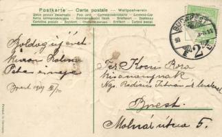 New Year, pigs, Emb. litho