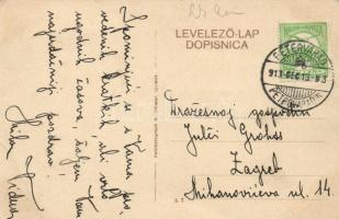 Donau-Flottille, battleships by Újvidék Pétervárad (EB)