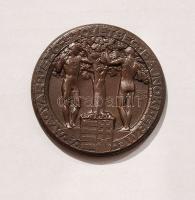 1920. "Magyar Úszószövetség" Br plakett. Szign:Greff Lajos T:2