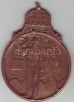 1936. "Nemzetközi Sportversenyek" Br plakett T:2