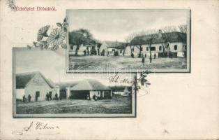 Diósd, Schneider Nándor kereskedése; floral (EB)