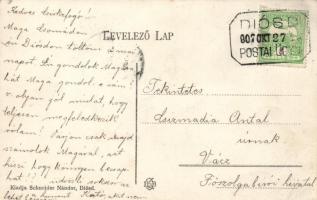 Diósd, Schneider Nándor kereskedése; floral (EB)