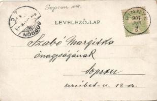 Pinnye, Augustinelz-kastély, Simon-kastély, templom; floral