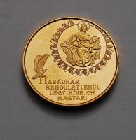 1989. "1956.okt.23." nagyalakú piefort aranyozott Br plakett T:PP