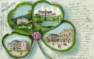 Sumperk, Mährisch Schönberg; Johrnsdorf, sanatorium, grammar school, railway station, clover litho, s: Schlema