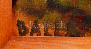 Balla jelzéssel: Tájkép. Olaj, karton, keretben, 38×28 cm